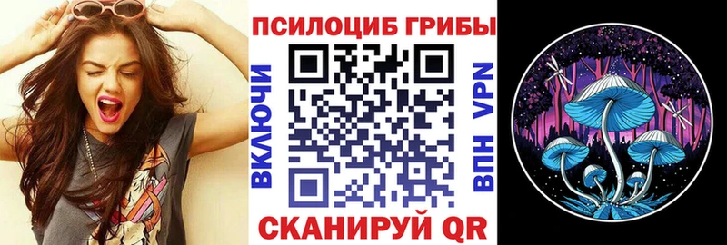 Купить  Куровское  Псилоцибиновые грибы MAGIC MUSHROOMS 
