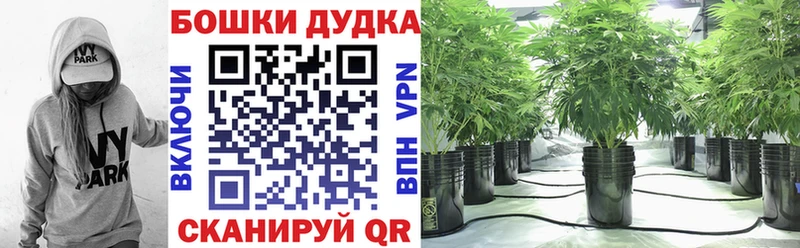 Канабис Ganja  Купить закладки  Куровское 